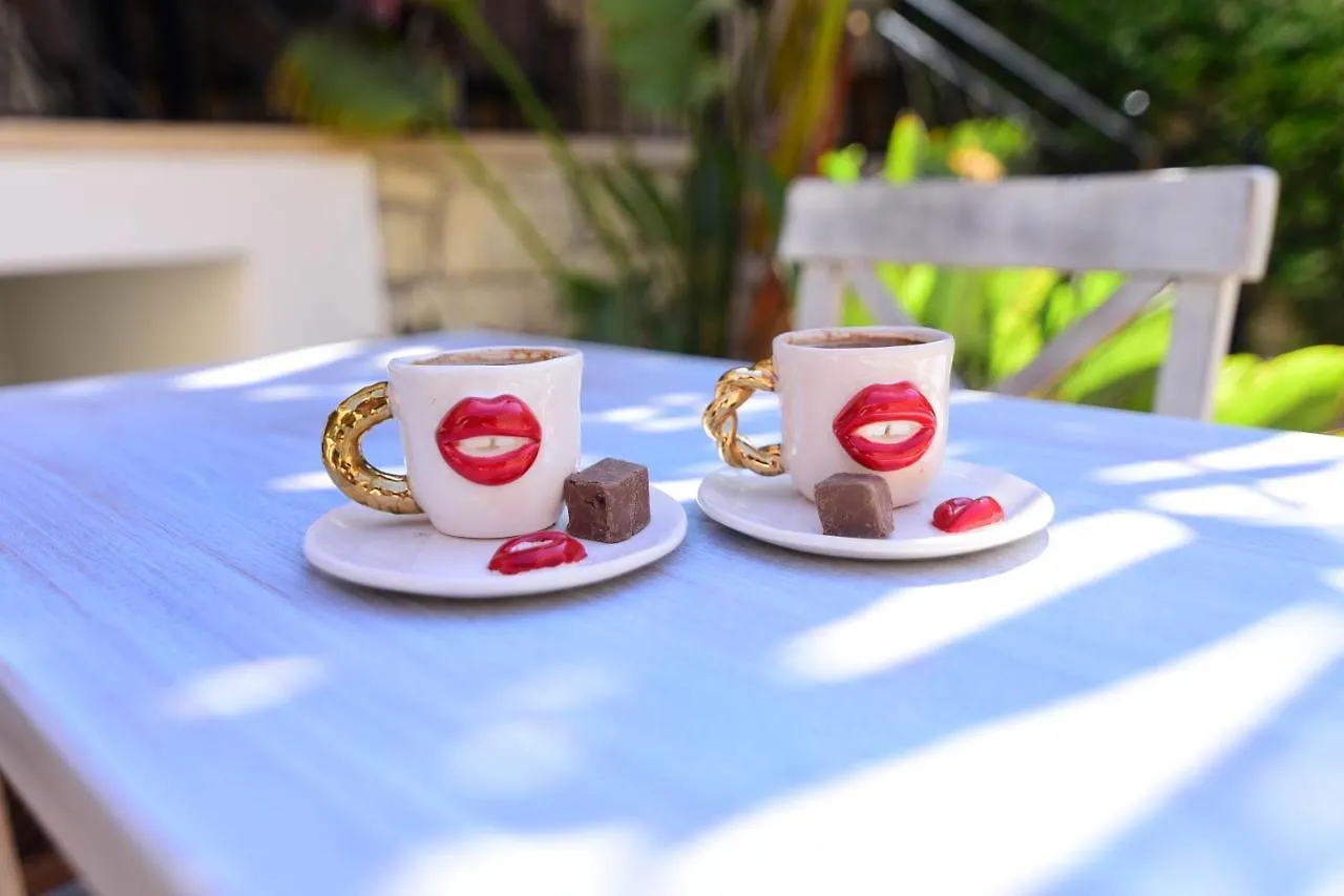 Проживание в семье 9 Alacati Boutique Hotel